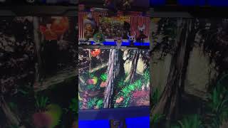 BAM!! 😂 DKC2