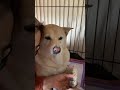 怒らなくてもいいのに