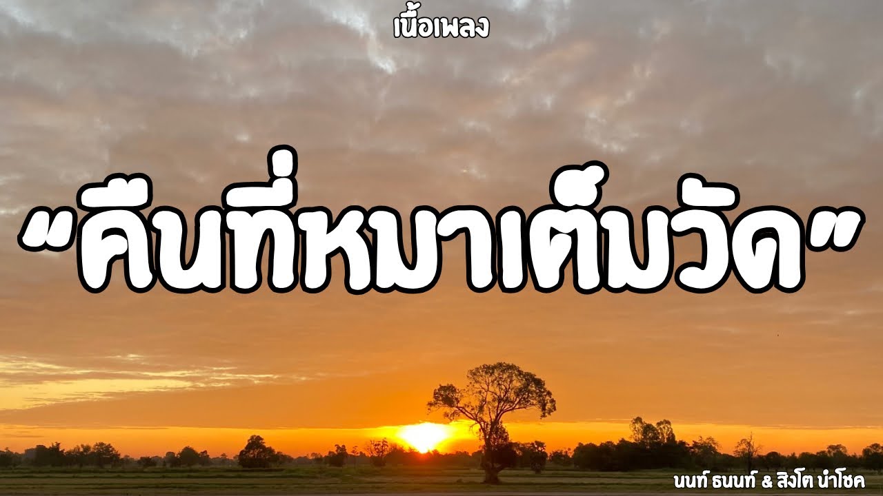 คืนที่หมาเต็มวัด | นนท์ ธนนท์ & สิงโต นำโชค (เนื้อเพลง)🎶🎧 คืนที่หมาเต็มวัด | นนท์ ธนนท์ & สิงโต นำโชค (เนื้อเพลง)🎶🎧