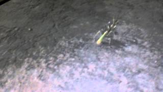 VIDEO0225