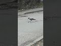 ОБЕД НА ДОРОГЕ #россия