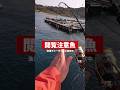 漁港で閲覧注意の魚と12分も格闘した結果㍍超えが出てきた
