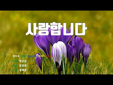 [은성 반주기] 사랑합니다 - 박강성