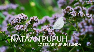 NATAAN PUPUH - 17 SEKAR PUPUH SUNDA