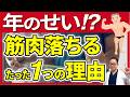 【50歳以降必見】知らないと損！筋肉が毎年1％落ちるたった１つの理由と対策法【整形外科医が解説】