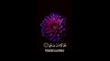 القرآن الكريم | سورة العلق | للقارئ عبد الرحمن مسعد | تلآوة خاشعة جميلة جدآ😌❤ | #شفأء القلوب_ القرأن