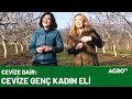 Cevizde İyi Tarım Uygulaması / AGRO TV