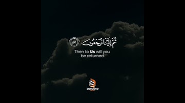 Surah Al-'Ankabut | Verse Number 57 || سورة العنكبوت