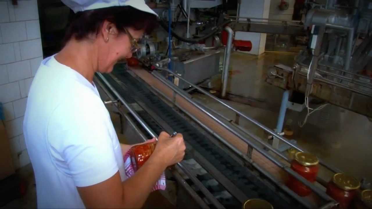 Hogyan készül a lecsó? - helyszíni tudósítás a Szatmári konzervgyárból.