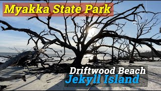 Myakka State Park | Driftwood Beach, Jekyll Island | Anna Maria  Island by Chosen Adventures 1,097 views 3 years ago 21 minutes
