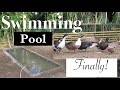 Nakagawa na rin ng Duck Pond/Swimming Pool // Buhay Probinsya