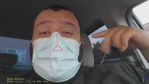 Driver Monitoring with Mask