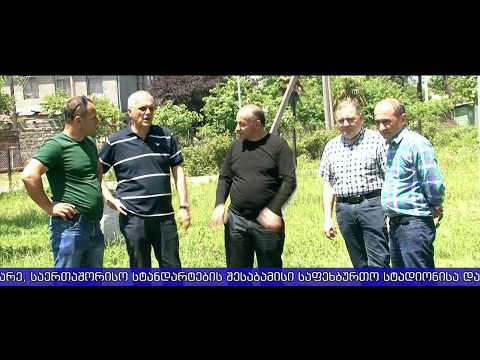 ქალაქის მერმა ინფრასტრუქტურული პროექტები დაათვალიერა