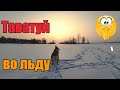 Козел уехал//Обзор покупок//Всякая дичь..