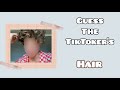 Guess the Tiktoker's Hair