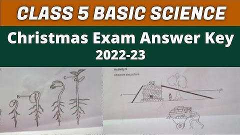 Class 5 Basic Science Christmas Exam Question Paper 2022 Answer Key🔥|Std 5 Christmas Exam Answer Key