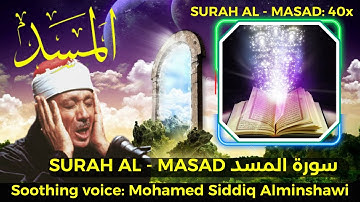 Surat Al Masad 111 - سورة المسد Muhammad siddiq al minshawi Amazing