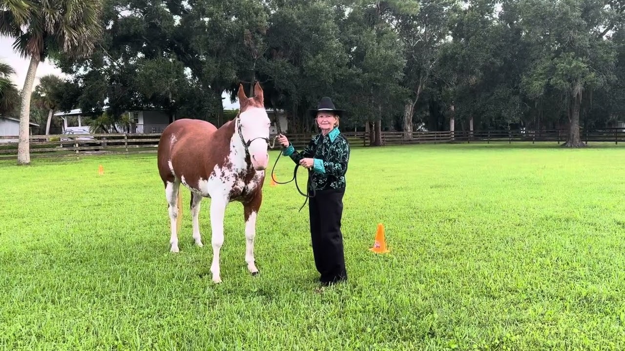 Bo Cromer and Sheza Zippin Image Pattern 1