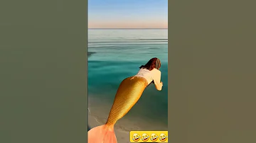 شفا شفاشفا شفا شفا2القطط شفا شفا شفا شفن 