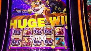 18 minor free game bonus dime denom catz. $500+ win screenshot 3