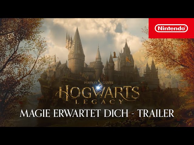 Hogwarts Legacy: Nintendo Switch Case Sleeve