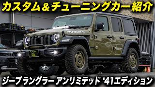 Tiger Auto's proposed 