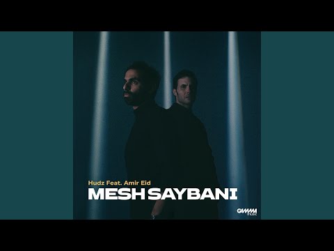 Mesh Saybani