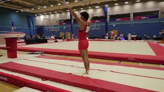 Jake Jarman - Vault Routine