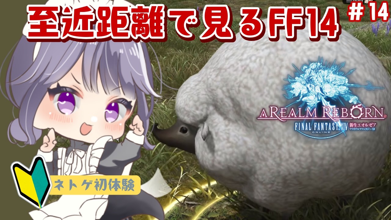 【FF14/新生】ネトゲ初心者の手探り初見実況（14）【新道きゅう /若葉 #新人VTuber 】