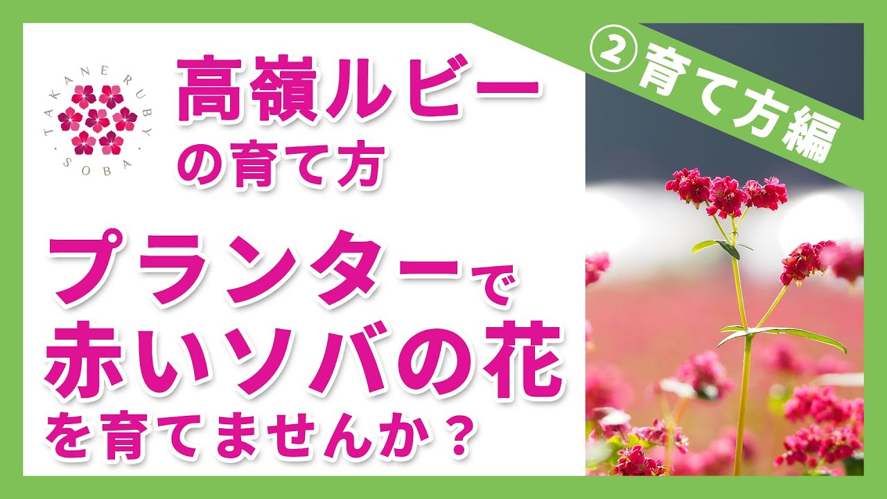 タカノハートワークス