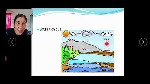 Class 3 EVS Lesson 9 Its raining.