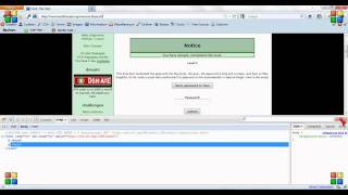 Celebrity Megawares | HackThisSite | Basic | 4 Net Worth