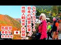 【リアルな海外の反応】びっくり!ほぼ全員 外国人観光客!馬籠(まごめ) 妻籠(つまご) 奈良井(ならい) 素晴らしい紅葉と懐かしい日本の原風景