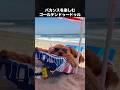 海に行ったときの犬の反応が最高すぎた #犬 #ゴールデンレトリバー #トイプードル
