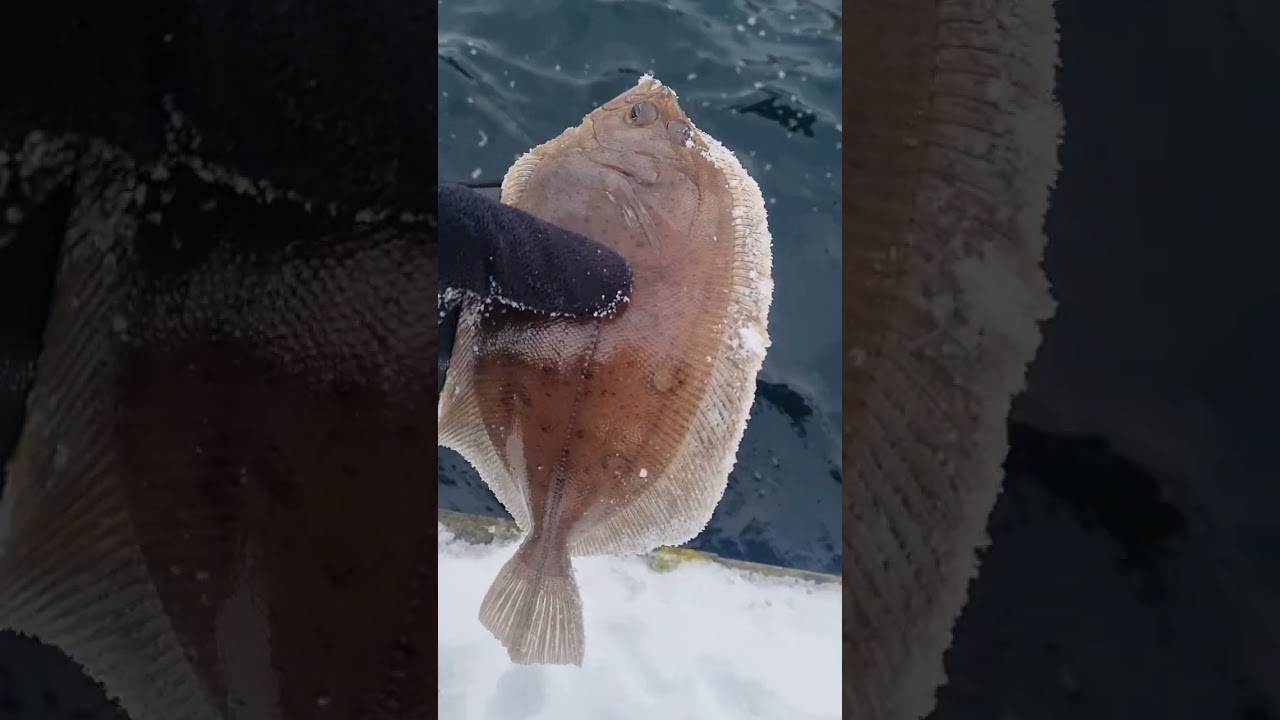 Рыбаки норвегии