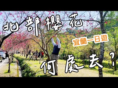 宜蘭賞櫻去！這些宜蘭在地美食你有看過嗎？｜YENYEN旅遊【宜蘭一日遊VLOG】