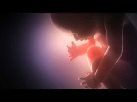 Angelzoom — Angelzoom - Fragile - Official Video - Sting Cover