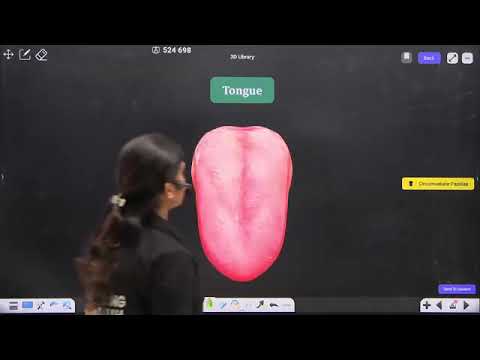 50  425 Digestive System 02 Tongue and Salivary Gland 🔥