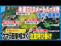 【石川・能美市でクマの目撃相次ぐ】半径500メートルで4件 市や警察がパトロール 注意呼び掛け