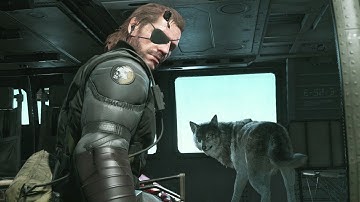 Metal Gear