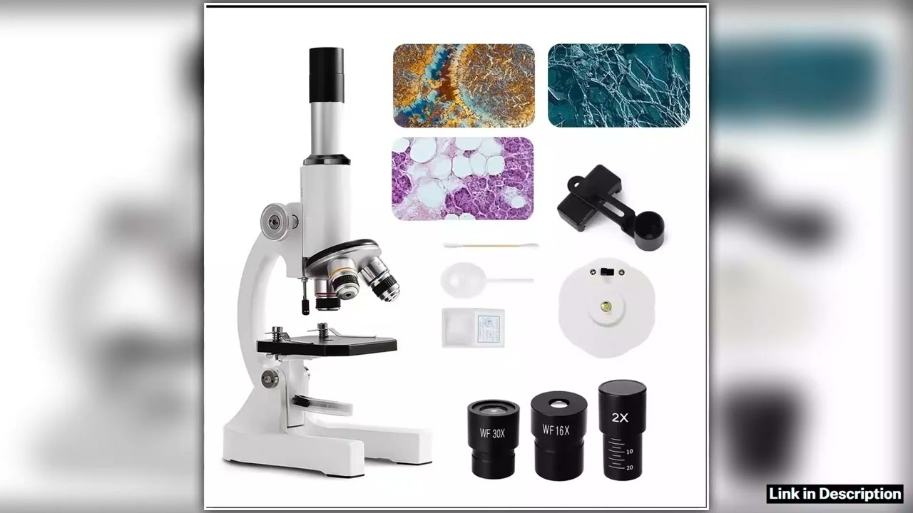 Microscope for Adults Kids 64X2400X Magnification Compound Microscope with Microscope Slides Fill L
