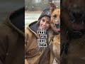 Dog love