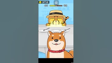 Hide and seek cat escape game level 457 #shortsfeed #youtubeshorts #ytshorts #trendingshorts #shorts