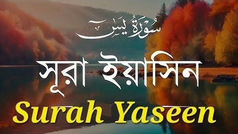 সূরা ইয়াসিন অন্তর শীতল করা কন্ঠে  سورة يس Surah Yaseen | EverydayQuran UK