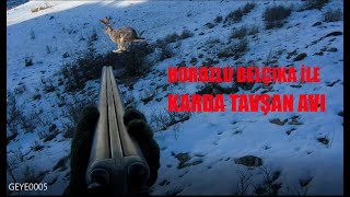 Karda Tavşan Avi Bu Tavşan Kaçmazdi Horozlu Belçika İle Tavşan Avi Rabbit Hunt Охота На Кроликов