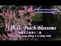 鄧麗君 Teresa Teng 月桃花 Peach Blossoms