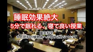 【眠れない時に】すぐ眠れる！寝ても良い授業！？植物生態学講義【睡眠導入用】