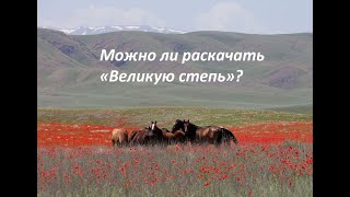 Кто профинансирует казахстанские нацбаты? (Роман Уланов)