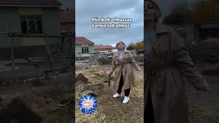 Bayan Yargıç Elin Bok Olmazsa Karnın Tok Olmaz