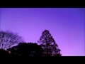 【リラックス！ジャズＢＧＭ】とある森の風景【Relaxing Music】